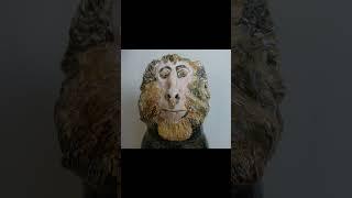 Funny monkey ape white noises and faces — return to monke — blonde macaque singe macaco обезьяна 猴子