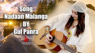 Nadaan Malanga  Gul Panra