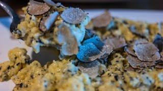 Truffle Hunting in Istria Croatia