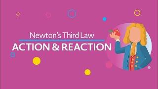 Action and Reaction Newton’s Third Law updated