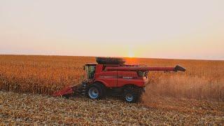 How Does A Corn Harvester Combine Work? DJI Mavic 2 Pro Drone Video