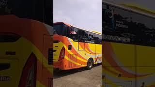 Bus Epa Star Bareh Solok Di Kota Palembang