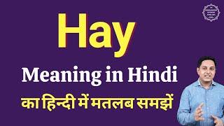 Hay meaning in Hindi  Hay ka kya matlab hota hai  online English speaking classes