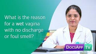 What is the reason for a Wet Vagina with no Discharge or Foul Smell? #AsktheDoctor
