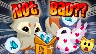 Corsac Foxes Love Doves and Glacier Pet Tokens?  Animal Jam Update February 2024
