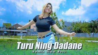 Dj Banyuwangi Turu Ning Dadane Remix Slow Bass Divana Project