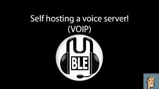 How to run your own VOIP server.  Open source voice server for friends gaming and more