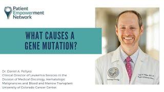 What Causes a Gene Mutation?