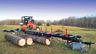 FELLING TREES in the WOODLOT - OAK and POPLAR