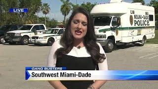 Miami-Dade police say gang is terrorizing apartment complex