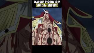 원피스는 실존한다