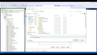 Generate script file in Microsoft Sql server 2019 tables schema and data