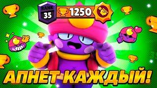 АПНЕТ КАЖДЫЙ КАК ЛЕГКО АПНУТЬ ДЖИНА НА 35 РАНГ В СОЛО ШД  BRAWL STARS