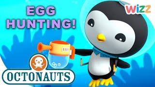 @Octonauts - Lets Go Egg Hunting   #Easter Special  Compilation  Cartoons for Kids  @Wizz
