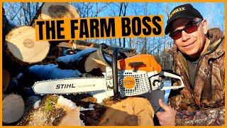 Stihl MS 271 Farm Boss Chainsaw  Why I Chose This Chainsaw