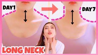 Get Beautiful Long Thin Neck with This Exercises & Stretches  Lose Neck Fat & Double Chin