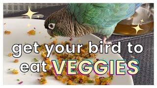 HOW TO GET YOUR BIRD TO EAT VEGGIES  Make Your Bird Eat Vegetables