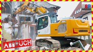 Liebherr R 924VA Selektiver Rückbau Leutenbach 2024.