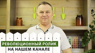 Эксперт подскажет. Обработка сада от вредителей химические препараты или народные средства?