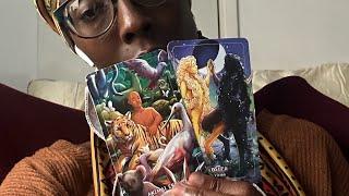 AQUARIUS️Leo New Moon Energy️345 Venus Day Deck Pull