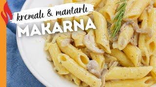 Creamy Mushroom Pasta Recipe 