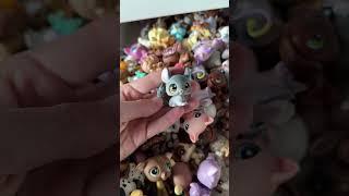 Pack an LPS order with me  #lps #littlestpetshop #shorts