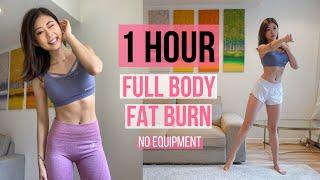 1 HOUR FULL BODY FAT BURN HOME WORKOUT Warm Up Arm & Back Cardio Ab Leg & Thigh Stretch  Emi