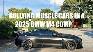 BULLYING MUSCLE CARS IN A 2025 BMW M4 COMPETITION XDRIVE #bmwm #g82 #m4 #pov #g80 #m3 #insta360 #bmw