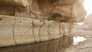 ساقية منحوتة فى الصخر عمرها مئات السنين بقرية بانيان - اوراس - الجزائر