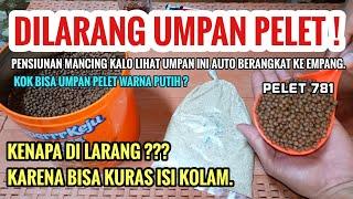 UMPAN IKAN MAS PELET 781 GACOR DARI PAGI SAMPAI MALAM GAK KENAL WARNA AIR