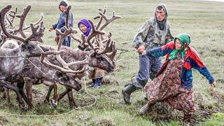 Ненцы и ханты. Сходства и отличия коренных народов Севера  Факты