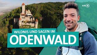 Odenwald Wandern und Entdecken zwischen Neckar und Bergstraße  Wunderschön  ARD Reisen