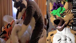 These Furry Videos Are ICONIC 