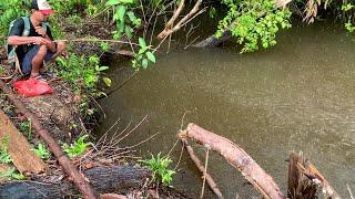 Hujan deras nggak masalah. Yang penting ikan nya ganas ganas mancing di sungai saat hujan