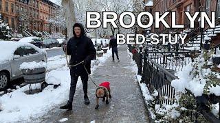 NEW YORK CITY Walking Tour 4K - BROOKLYN - BEDSTUY