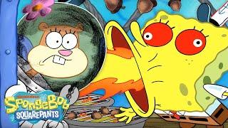 The Krusty Krab is NUTS for Sandys New Snack   Hot Crossed Nuts in 5 Minutes  SpongeBob