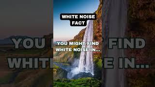 White Noise Fact You might find white noise in...