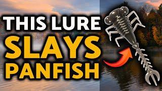 This Lure SLAYS Panfish