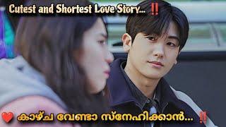 Two Lights Relumino 2015  Korean  Movie Malayalam Explanation @MOVIEMANIA25  Love story