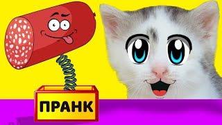 ЛЕТНИЕ ПРАНКИ НАД КОТАМИ НОВЫЕ ПРИКОЛЫ для пары КОТ  и КОШЕЧКА 3 смешных пранков над друзьями