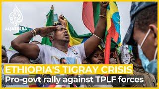 Ethiopias pro-government supporters protest against TPLF in Addis Ababa