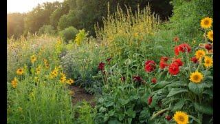 Companion Planting Secrets Boost Your Harvest Naturally