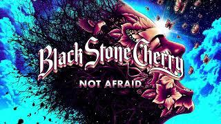 Black Stone Cherry - Not Afraid Screamin At The Sky