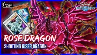 Akiza I can Accel Synchro too Shooting Riser Dragon in Rose Dragon DeckYu-Gi-Oh Duel Links