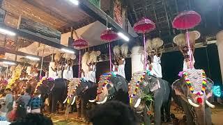 Koodalmanikyam Utsavam 2024  കൂടൽമാണിക്യം ഉത്സവം 2024 കൊടിപ്പുറത്ത് വിളക്ക്