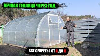 Сверхурожайная ТЕПЛИЦА. ПРОСТОЙ СЕКРЕТ Результат вас поразит