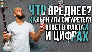 HT №200. Вред от курения кальяна. Ответ на все вопросы в фактах и цифрах Harm from smoking.