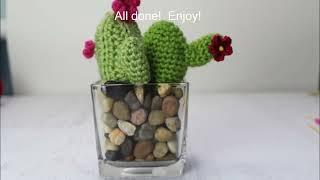 Crafting Cute Crochet Cactus Decorations Ideal for Gifting and No More Ouchies