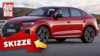 Audi Q5 Facelift 2020 Neuvorstellung - Skizze - SUV - Infos