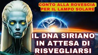 Siriano Conto alla rovescia per il lampo solare. Il DNA siriano in attesa di risvegliarsi